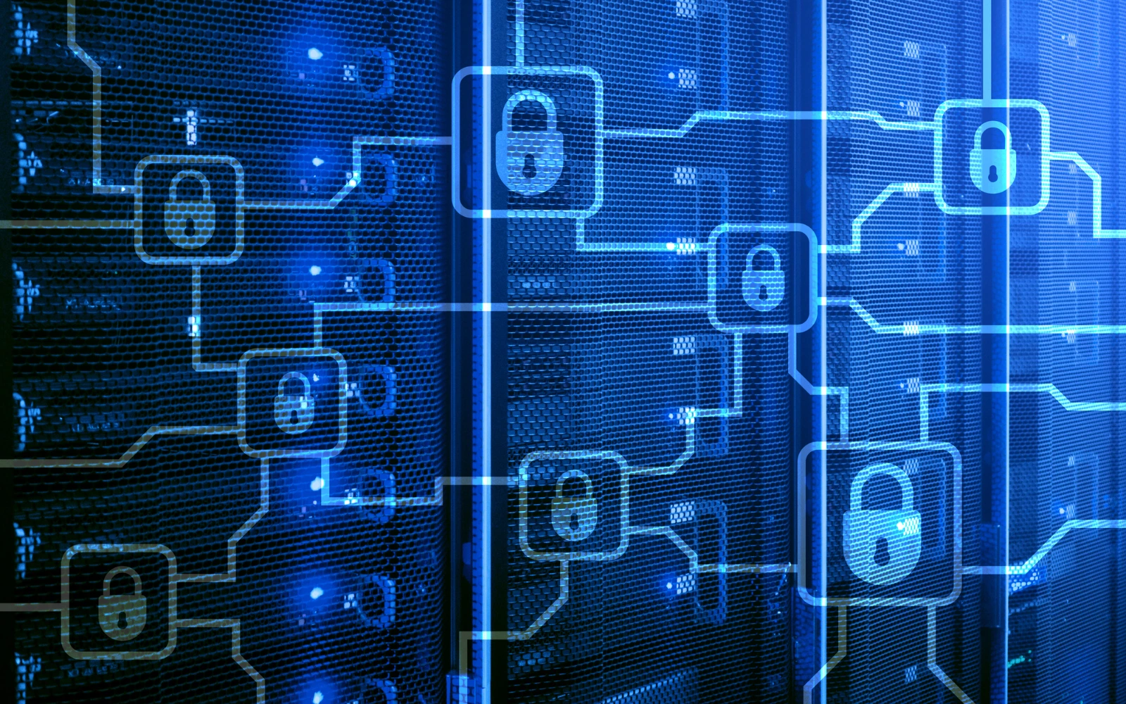 fibodo Security